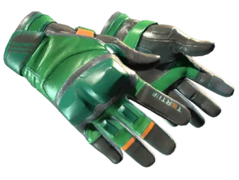 ★ Moto Gloves | Turtle (Minimal Wear)