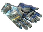 ★ Specialist Gloves | Mogul (Well-Worn)