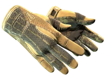 ★ Sport Gloves | Arid (Minimal Wear)