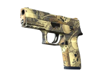 P250 | Contamination (Factory New)