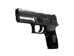 StatTrak™ P250 | Cartel (Well-Worn)