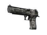 Souvenir Desert Eagle | Urban Rubble (Well-Worn)