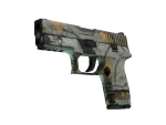 P250 | Modern Hunter (Field-Tested)