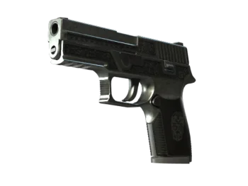 StatTrak™ P250 | Cartel (Battle-Scarred)