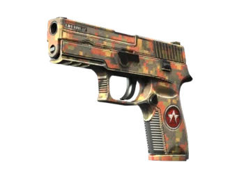 StatTrak™ P250 | Red Rock (Factory New)
