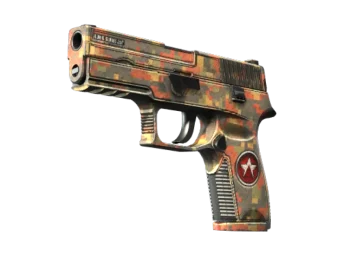 StatTrak™ P250 | Red Rock (Well-Worn)