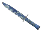 ★ Bayonet | Bright Water (Well-Worn)