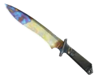 ★ StatTrak™ Classic Knife | Case Hardened (Well-Worn)