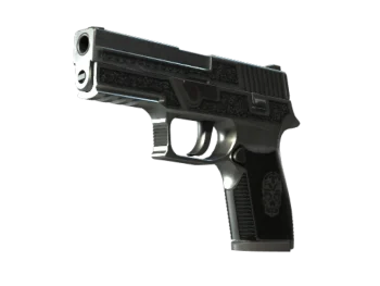 StatTrak™ P250 | Cartel (Field-Tested)