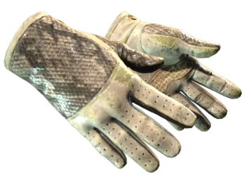 ★ Driver Gloves | King Snake (Battle-Scarred)