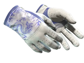 ★ Driver Gloves | Wave Chaser (Minimal Wear)