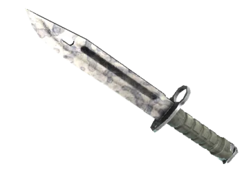 ★ Bayonet | Stained (Field-Tested)