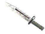★ Bayonet | Stained (Minimal Wear)