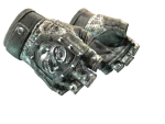 ★ Broken Fang Gloves | Unhinged (Well-Worn)