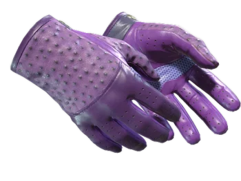 ★ Driver Gloves | Plum Quill (Minimal Wear)