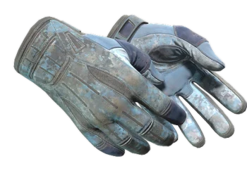 ★ Sport Gloves | Frosty (Battle-Scarred)