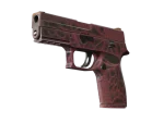 P250 | Contaminant (Factory New)