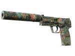 Souvenir USP-S | Ancient Visions (Well-Worn)