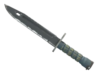 ★ Bayonet | Night (Field-Tested)