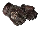 ★ Broken Fang Gloves | Needle Point (Factory New)