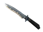 ★ StatTrak™ Classic Knife