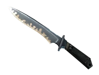 ★ StatTrak™ Classic Knife