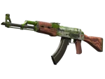 AK-47 | Hydroponic (Field-Tested)