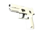 P250 | Whiteout (Factory New)