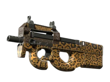 P90 | Run and Hide (Well-Worn)
