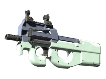 P90 | Storm (Factory New)