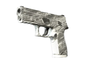 Souvenir P250 | Sleet (Minimal Wear)