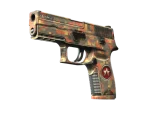 StatTrak™ P250 | Red Rock (Field-Tested)
