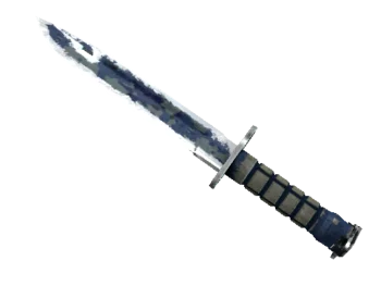 ★ Bayonet | Bright Water (Battle-Scarred)