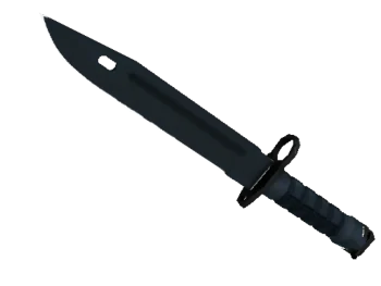 ★ Bayonet | Night (Minimal Wear)