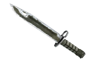 ★ Bayonet | Safari Mesh (Battle-Scarred)