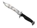 ★ Bowie Knife | Stained (Factory New)