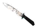 ★ Classic Knife | Stained (Factory New)