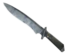 ★ Classic Knife | Stained (Minimal Wear)