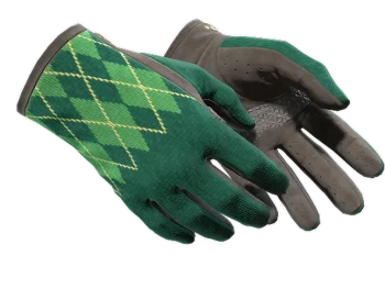 ★ Driver Gloves | Hand Sweaters (Minimal Wear)