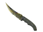 ★ Flip Knife | Case Hardened (Well-Worn)