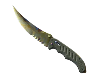 ★ Flip Knife | Case Hardened (Well-Worn)