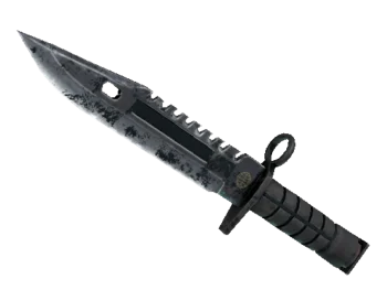★ M9 Bayonet | Night (Battle-Scarred)