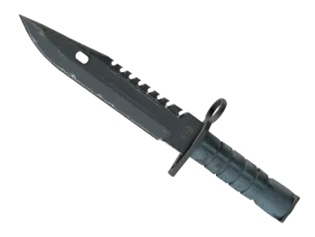 ★ M9 Bayonet | Night (Well-Worn)