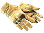 ★ Moto Gloves | Transport (Factory New)