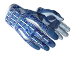★ Sport Gloves | Amphibious (Factory New)