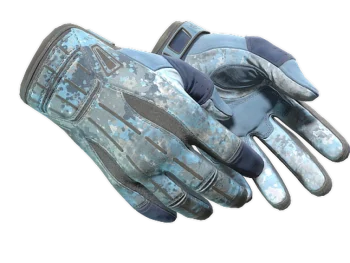 ★ Sport Gloves | Frosty (Well-Worn)