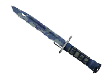 ★ StatTrak™ Bayonet | Bright Water (Well-Worn)