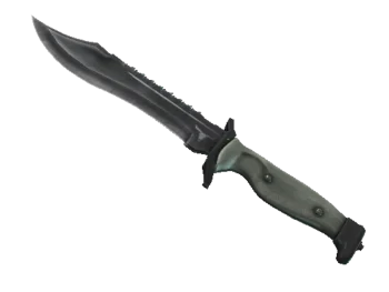 ★ StatTrak™ Bowie Knife