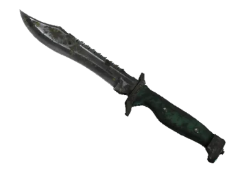 ★ StatTrak™ Bowie Knife | Boreal Forest (Battle-Scarred)