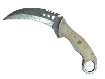★ StatTrak™ Talon Knife | Damascus Steel (Field-Tested)